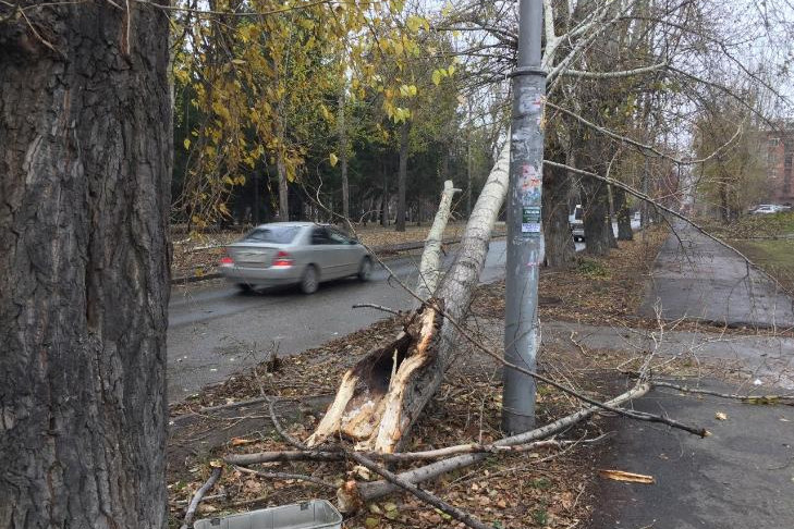 Электроснабжение 29 населенных пунктов восстановили в Новосибирской области