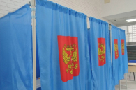 Явка на выборах в Новосибирской области составила 28%