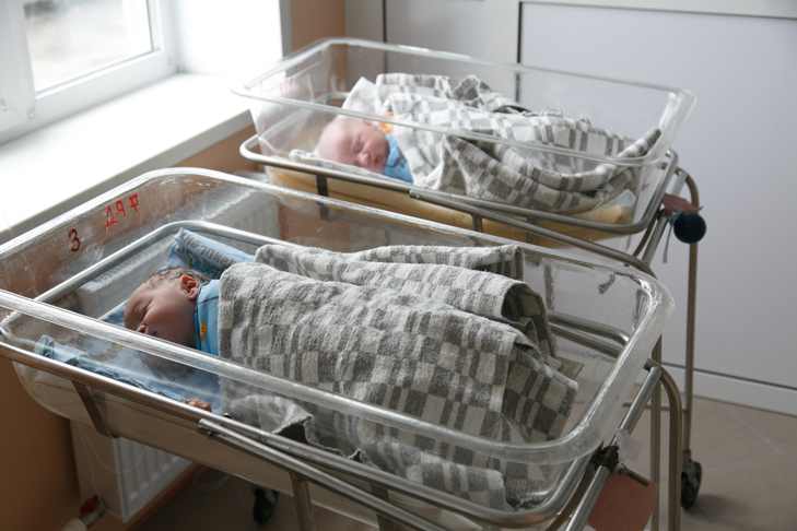Сто двоен родилось в Новосибирской области с начала 2024 года