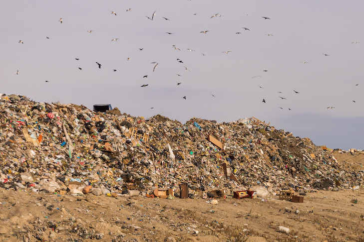 Сроки закрытия Хилокского мусорного полигона назвали в Новосибирске