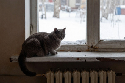 О завершении отопительного сезона сообщил мэр Новосибирска