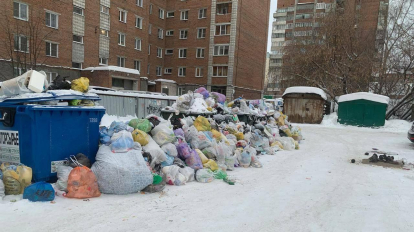 Прокуратура внесла представление мэру Новосибирска из-за проблем с мусором
