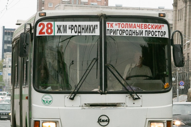 В Новосибирске трехлетний пассажир автобуса №28 разбил голову 