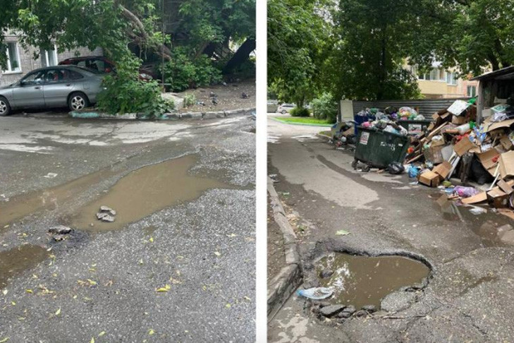 Кисель из мусора: жители центра Новосибирска бьют тревогу из-за антисанитарии