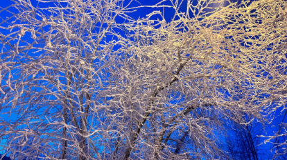 «Надвигается антициклон»: в Новосибирскую область снова придут 30-градусные морозы