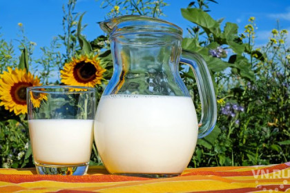 Французы назвали «искусством» производство молока в Каргате