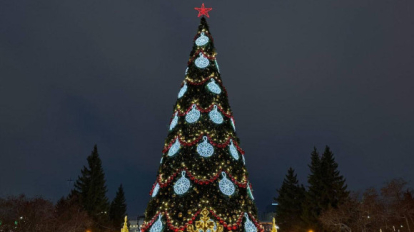 Новосибирцам предлагают встреть Новый год с домашним театром