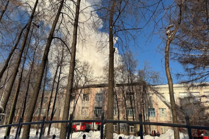 Названа причина пожара в Новосибирском педагогическом колледже №1