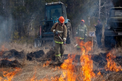 Садовое общество отстояли от огня 10 экипажей МЧС в Новосибирске