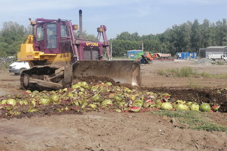 В Новосибирске бульдозер раздавил 20 тонн арбузов без документов