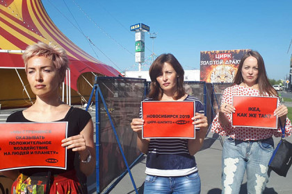 Флешмоб против шапито запустили новосибирские зоозащитники