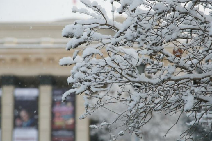 Погода 17-19 февраля в Новосибирске: скоро потеплеет