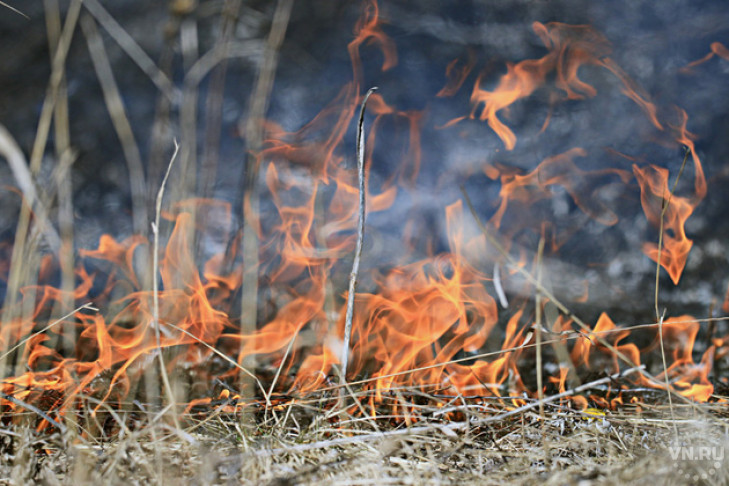Облаву на поджигателей травы начали в Новосибирской области