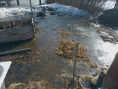 “Вот что у нас началось!” – жители улицы Партизанской в Бердске с ужасом ждут весны