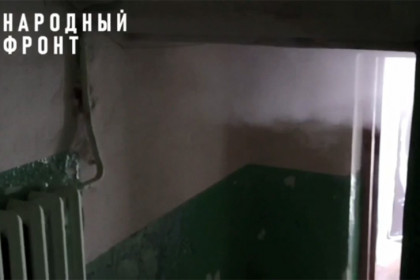Тараканы спасаются бегством из подвала дома c бомбоубежищем в Новосибирске