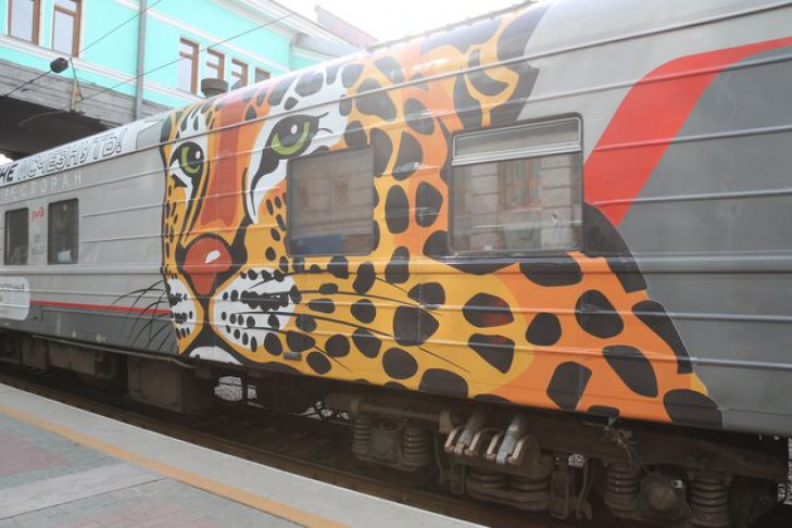 Поезд с дальневосточными леопардами прибыл в Новосибирск