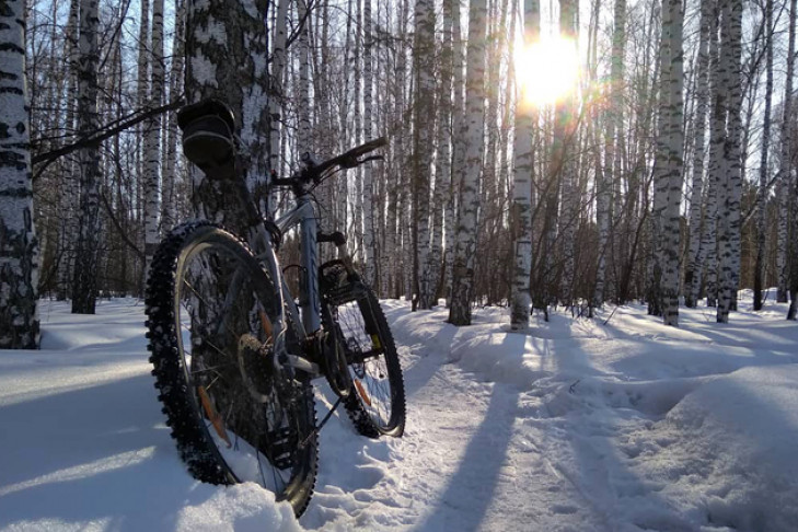Коноплю «посеял» в снег трусливый велосипедист