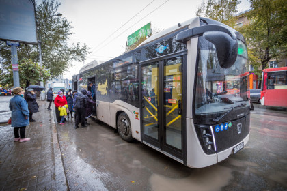 100 бескондукторных автобусов приедут в Новосибирск до конца года