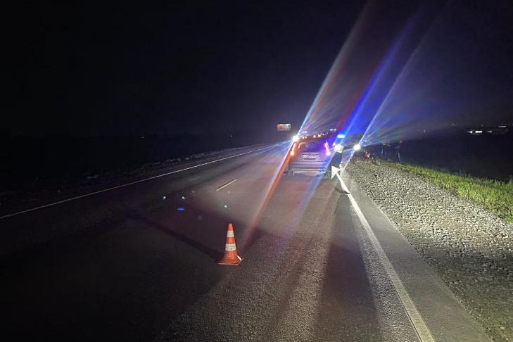 Водитель Honda Stream насмерть сбил мужчину под Новосибирском