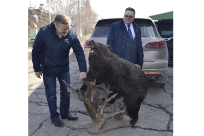 Депутат убил медведя и подарил чучело музею в Татарске
