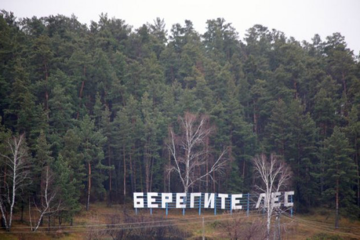 2,3 млн рублей заплатили новосибирские поджигатели травы