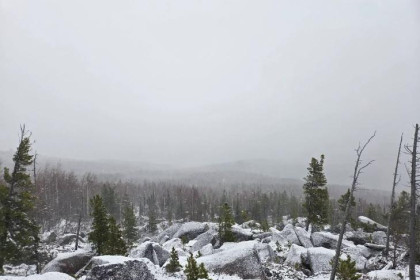 Новосибирцы отправились в тайгу на поиски семьи Усольцевых