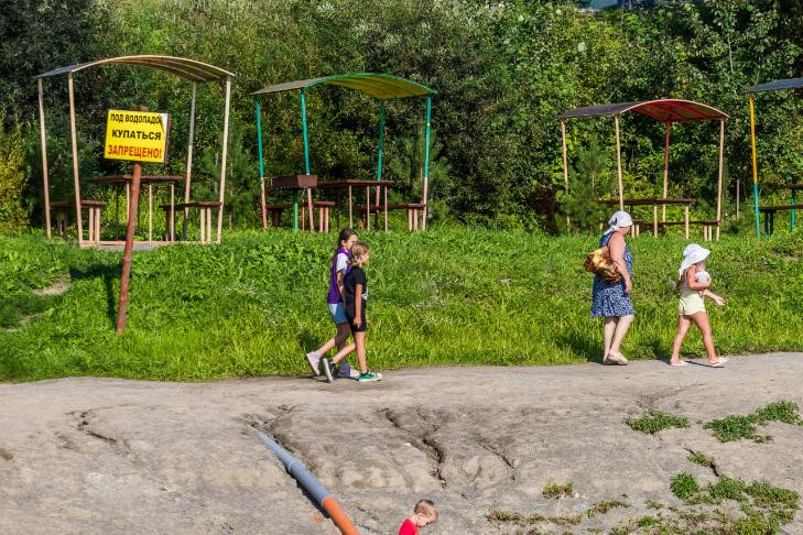Тысячу детей искусали клещи в Новосибирской области