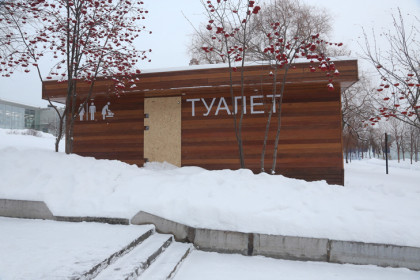 Бесплатные общественные туалеты подсчитали в Новосибирске