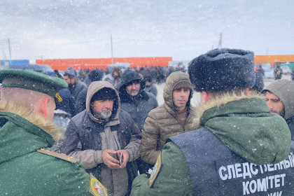 Бастрыкин взял на контроль дело о торгующих рядом с Новосибирском мигрантах