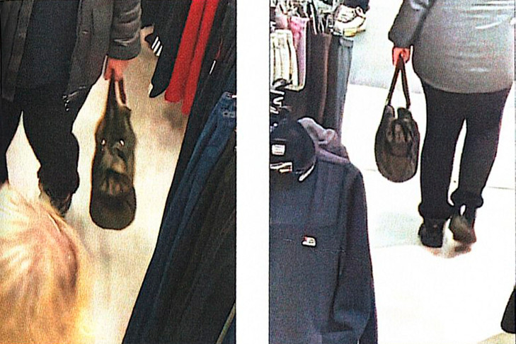 Искусственный интеллект по фото сумки доказал вину жительницы Новосибирска