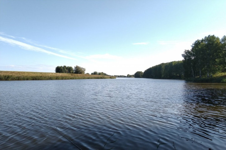 «Кудряшовское» оспорит взыскание 2,3 млрд: экспертиза не выявила загрязнений