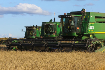 Уборка зерновых полностью завершена в Новосибирской области