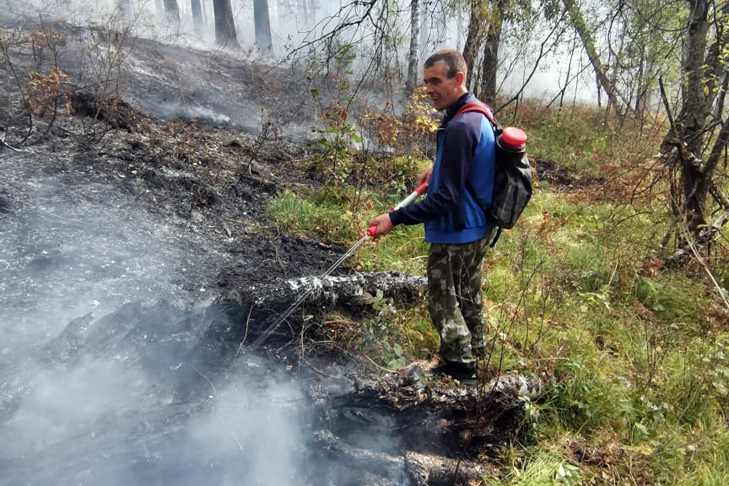 Лес на известной горе Зверобой горит под Новосибирском