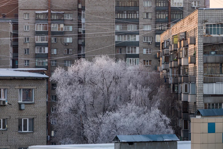 Опасная оттепель до +3 градусов идет в Новосибирск