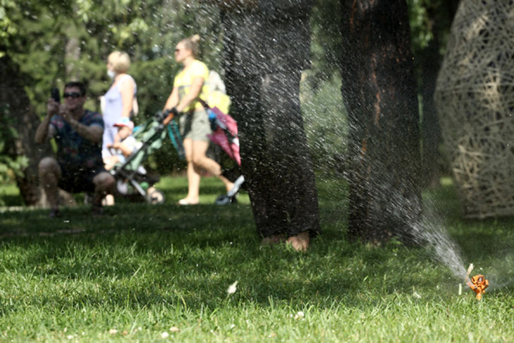 Август-2025 начнется с аномальной жары в Новосибирске