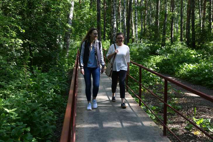 Запрет на посещение лесов: новое постановление принято в Новосибирской области