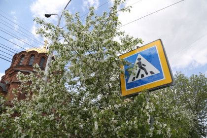 Остановку «Площадь Свердлова» в Новосибирске предложили переименовать