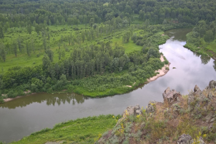 Экологическую тропу «Зверобой» обновят в Новосибирской области