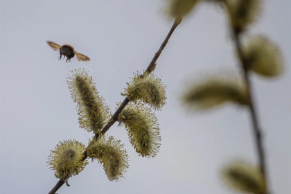 Прогноз погоды на апрель-2026 в Новосибирске сделали синоптики