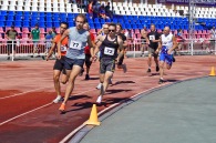 Чемпионов летних сельских спортивных игр определили в Новосибирской области