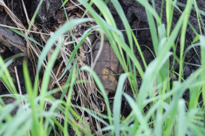 Опорный пункт ВСУ забросал гранатами боец из Новосибирской области