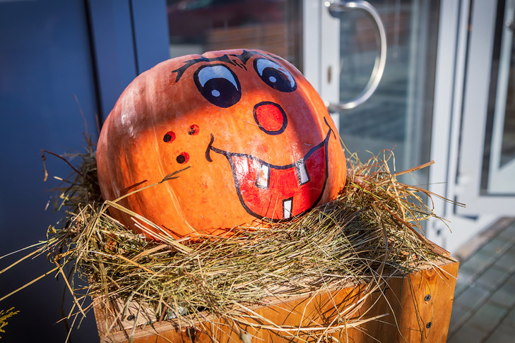 Кешбэк лета: главный синоптик Вильфанд пообещал +31 в Западной Сибири