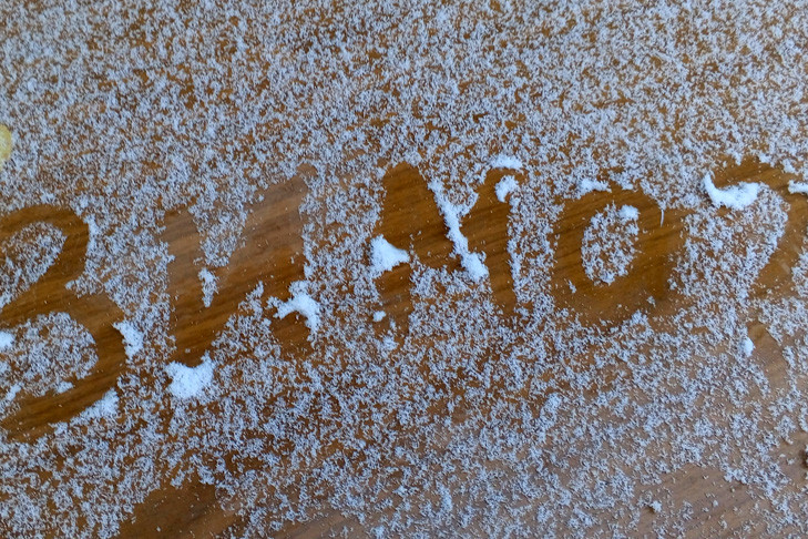 Первый снег выпал в Новосибирской области