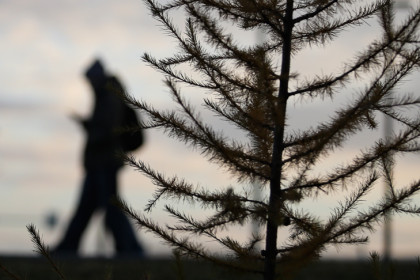 Неблагоприятные погодные явления ожидаются с 1 ноября в Новосибирске