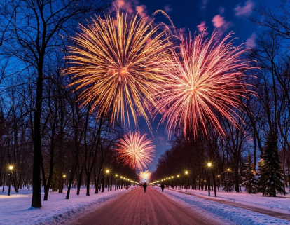 В Новосибирской области запретили использовать пиротехнику в общественных местах