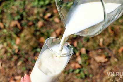 Фальшивое молоко пили ученики школы в Новосибирске  