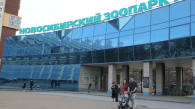 Новосибирскому зоопарку исполнилось 79 лет