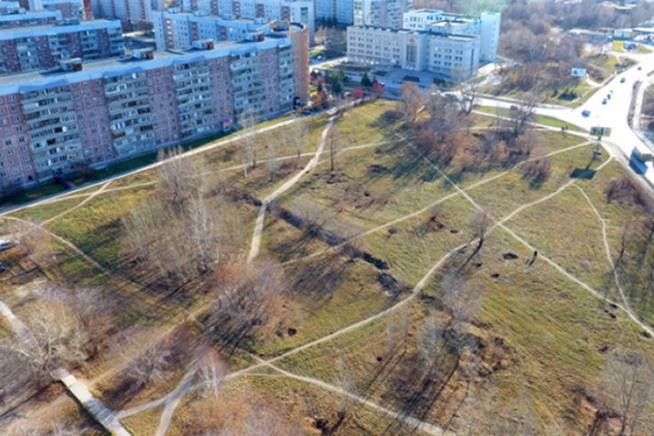 Бастрыкин поручил проверить продажу сквера на Демакова в Новосибирске