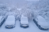 Новосибирцы задолжали по транспортному налогу более миллиарда рублей