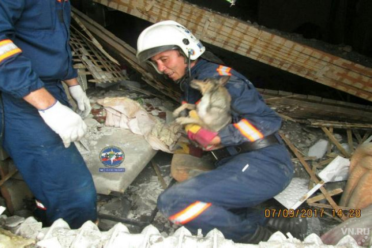 Пищавшую по-человечьи собаку достали из-под завалов спасатели